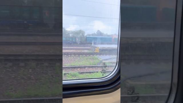 Дождик идет сильный #тренды