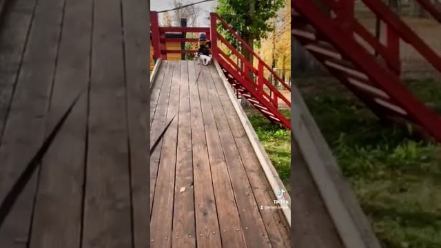 Bdc6e6432e3120c32ca2d36df0859b33