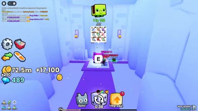 💥РАССКАЗЫВАЮ О ОБНОВЛЕНИИ В PETS GO!💥