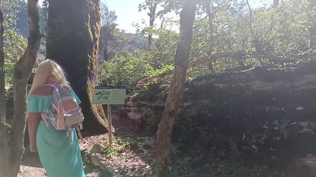 8a9b015a1e229018cc535b02e8036c55