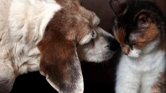 Тригонометрия тайны