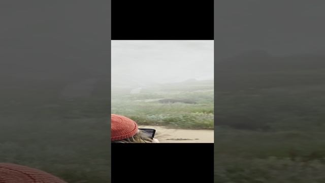 Увидели медведя в долине гейзеров  на камчатке