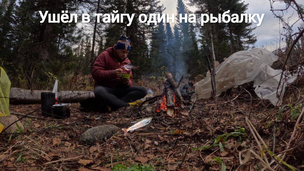 Ушёл в тайгу один за хариусом