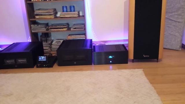 Accuphase E450 DIY clone  preamplifier Volcano