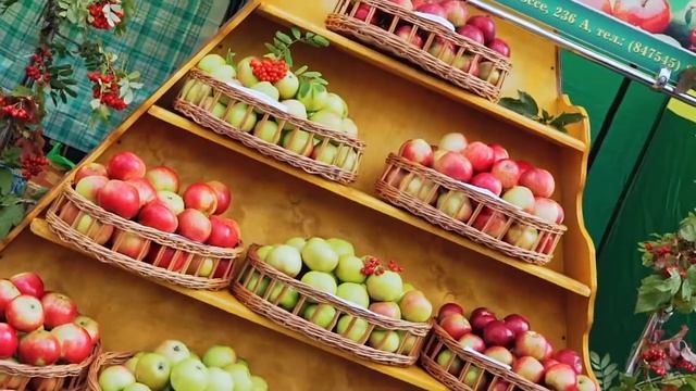 [Тамбов] Фестиваль мичуринского яблока