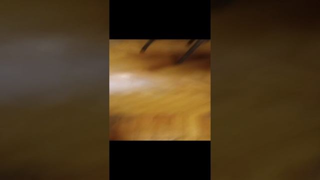 камера(стик)бот студио