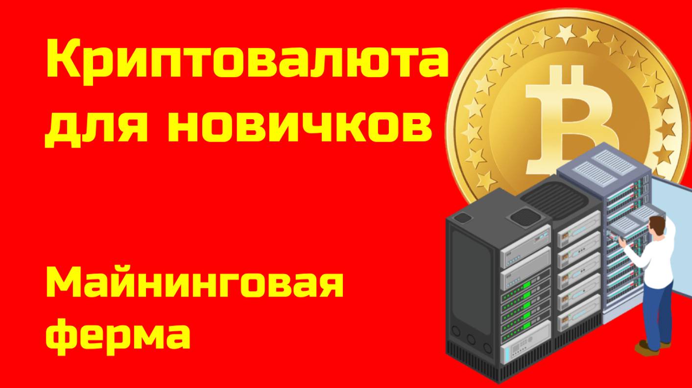 Майнинг криптовалюты: оборудование | Альткоины и биткоин | Крипта для новичков
