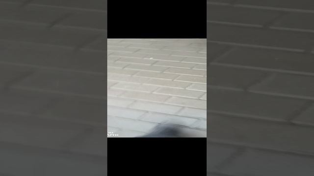 VID_20241121_150956.mp4