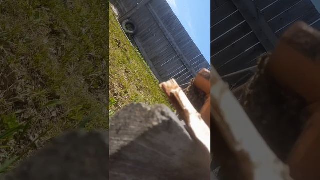 6dafd01c77631682ba440cd2d0e2e2bd