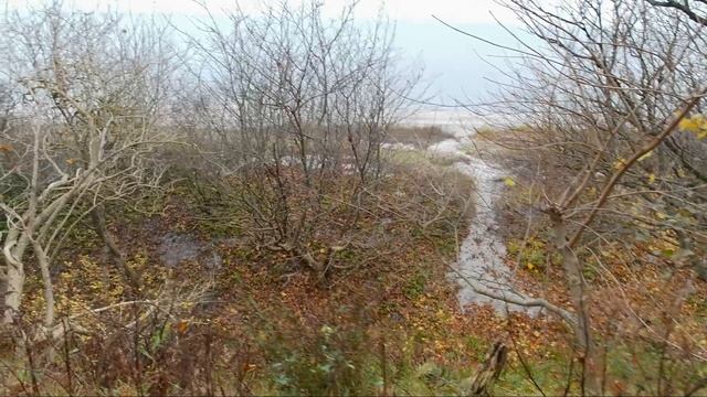 В ноябре с ночёвкой на Балтийское море