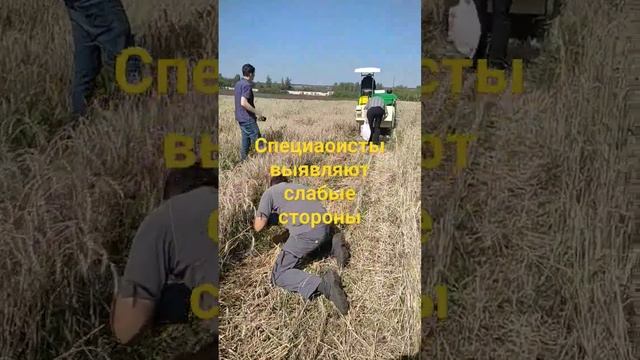 31 августа 2023 г.