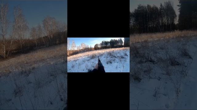 Охота на косулю