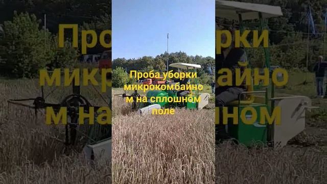 31 августа 2023 г.