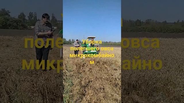 31 августа 2023 г.