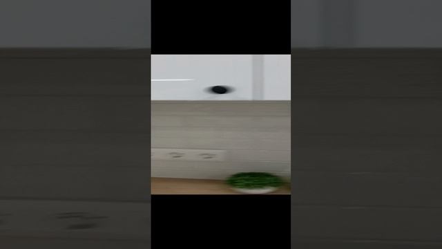 1000044952.mp4