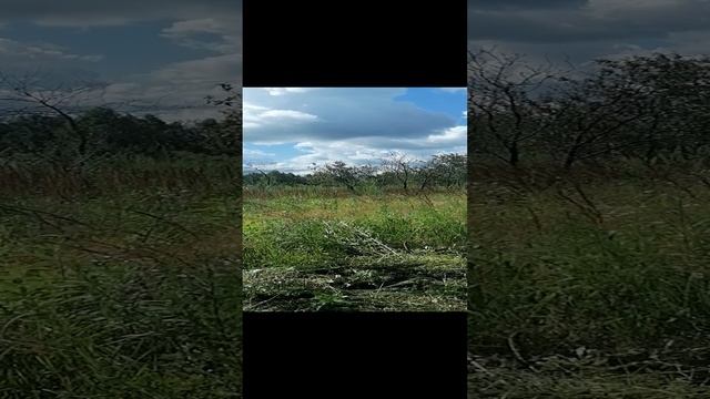 22.07.24 Переезд в новую жизнь!