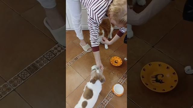 Обед на двоих!