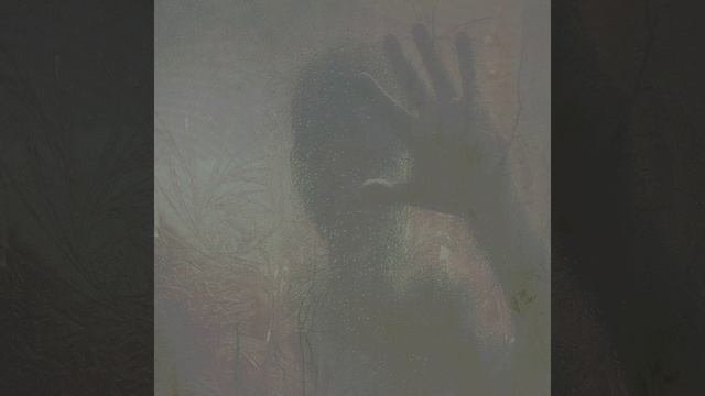 Сети Нефертити. Каир. Песни и картины Кругосветной выставки