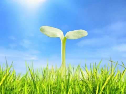 Рекламный ТВ-ролик для работа.ЯНАО.рф