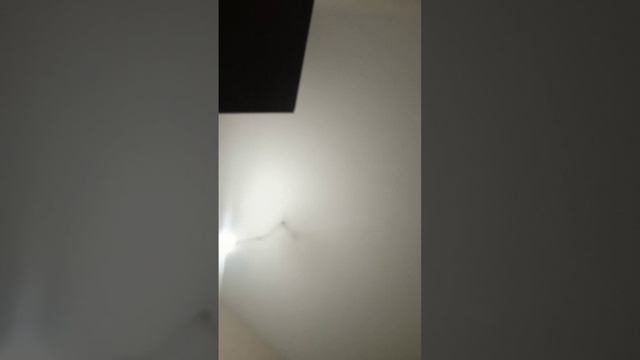 7 октября 2023 г.