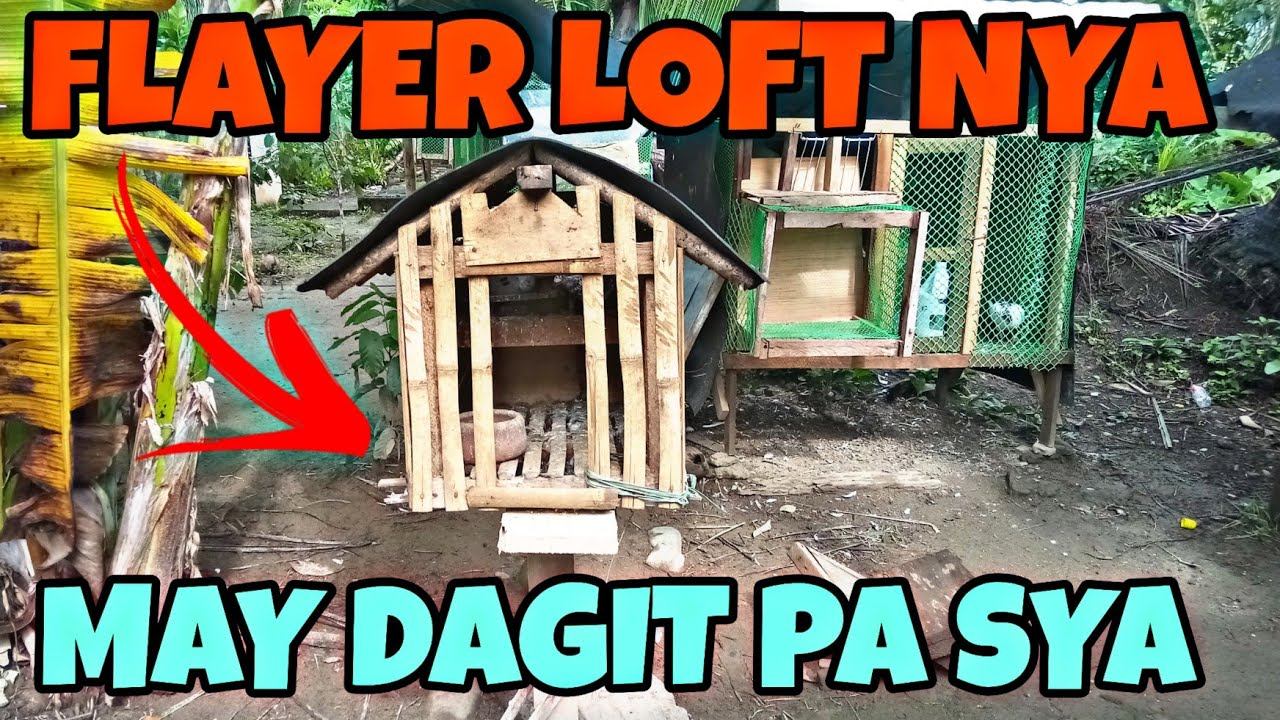 PINAKA MALIIT NA FLAYER LOFT NA NAKITA KO SA BOUNG BUHAY KO?MAY DAGIT PANG LAMAN?