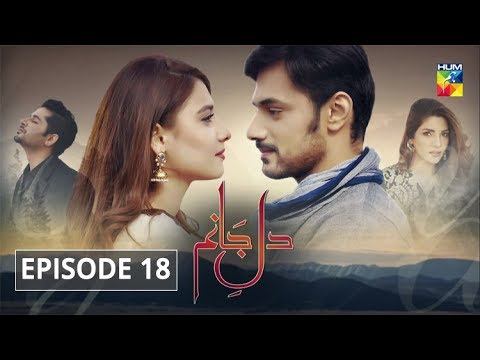 Dil E Jaanam Episode 18 HUM TV Drama