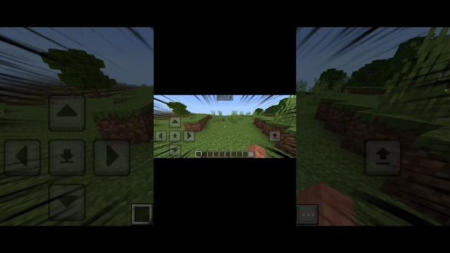 0fe440458b3a8a5cc679d9ed0330ed49