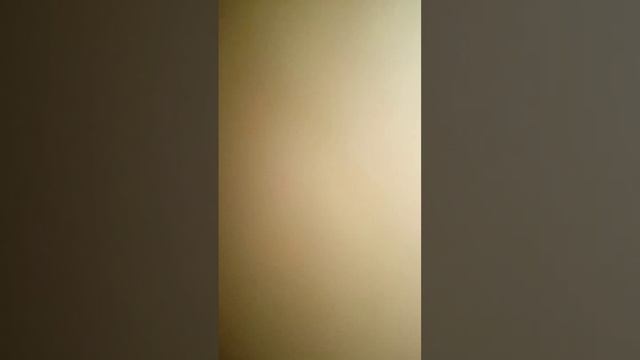 22 октября 2023 г.