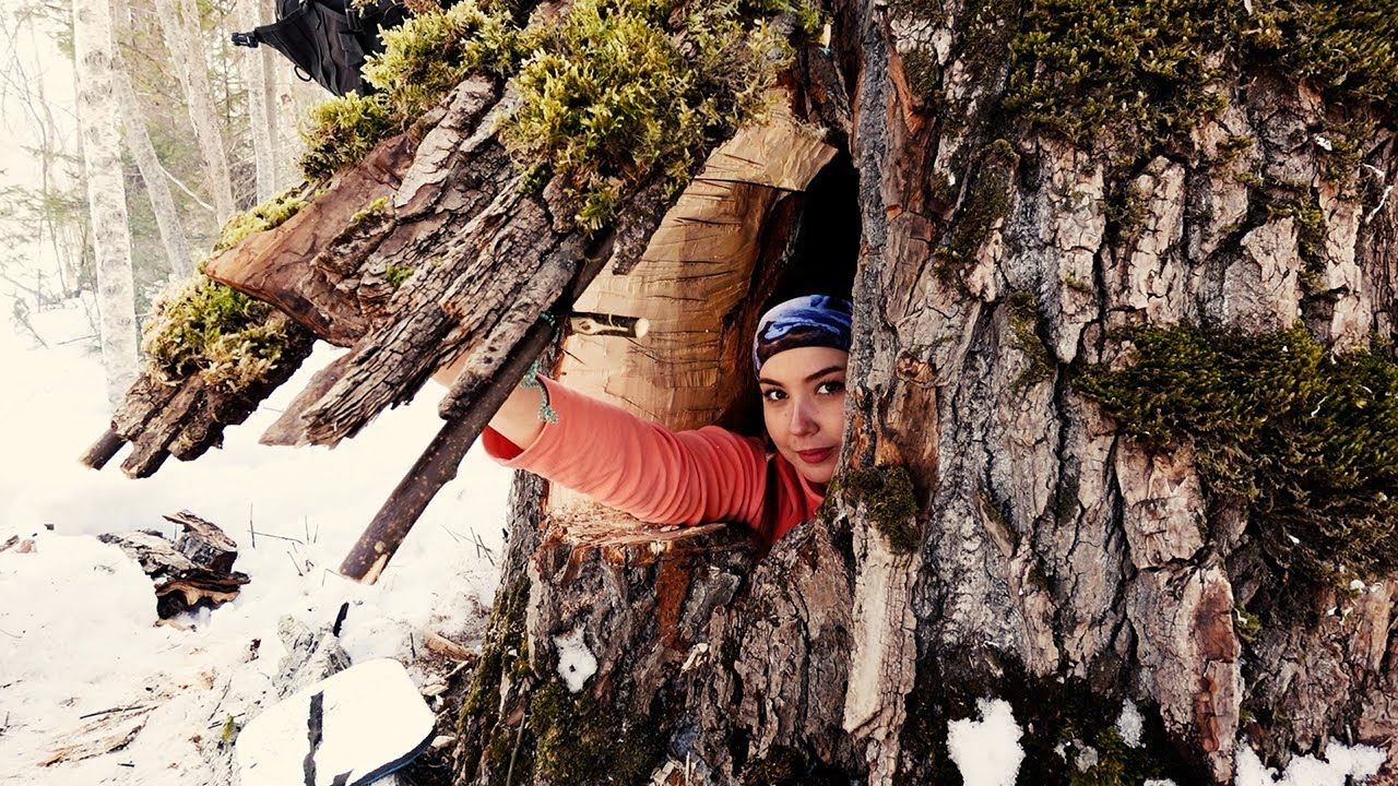 Natural shelter in the tree  Stash for storage  My forest adventures