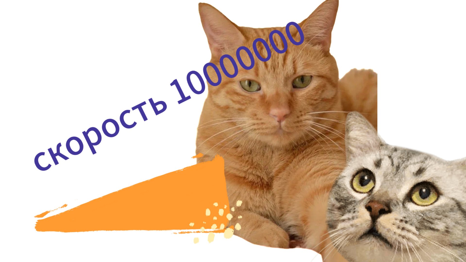 CAT PLAY / Кот играет.