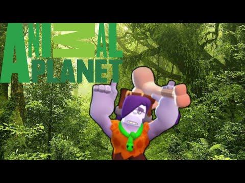 8ad6f93975a12d919cf391f83b0069cd