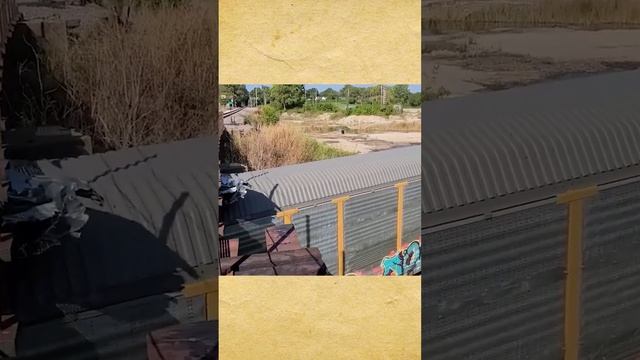 Ошибка Дарвина