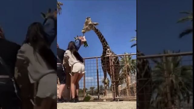 Ваш Джони Д...