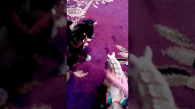 Забавные научно-развлекательные эксперименты