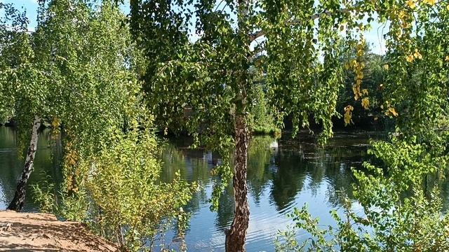 Александр Плетухин