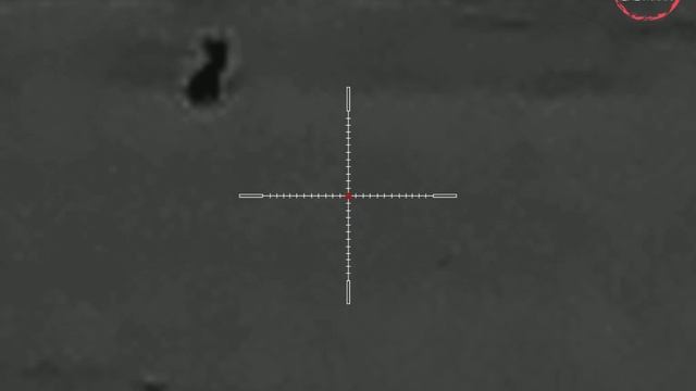 Лиса 170 метров