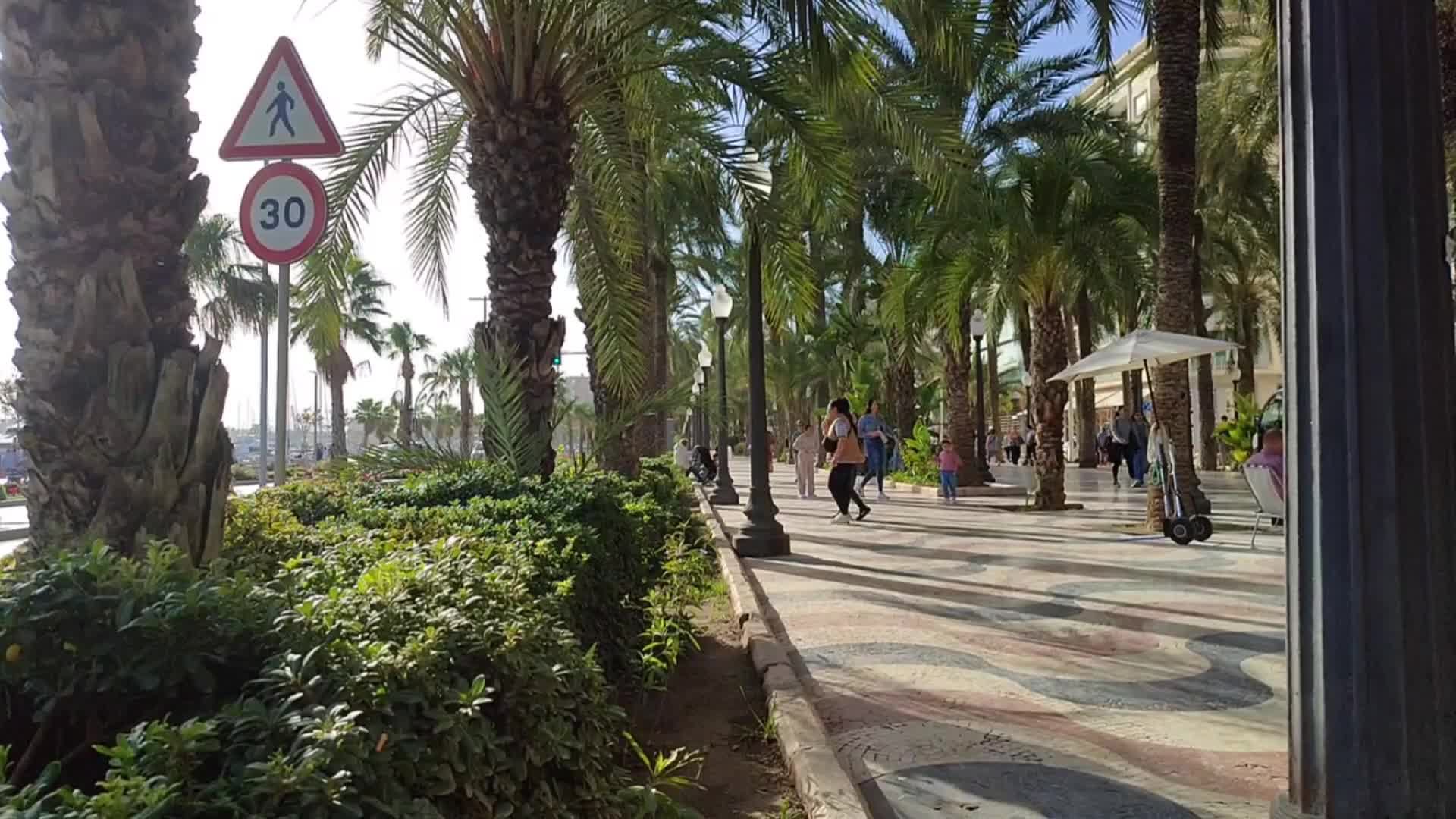 Испания Аликанте, центр, знаменитая Экспланада