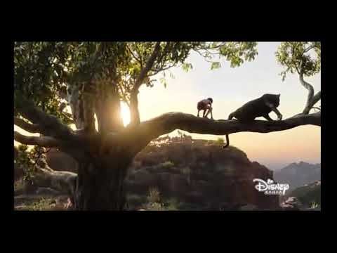 Светлой памяти канала Дисней... Кусочек эфира с анонсами канала Солнце ( 05.12.2022 ).