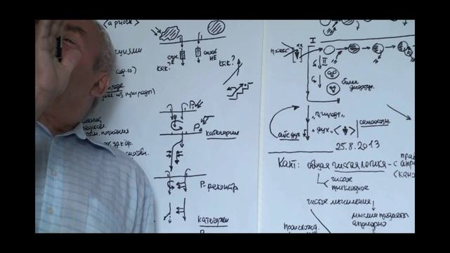 Рассудок и разум по Канту. Категории. Типы содержательностьи. 2013