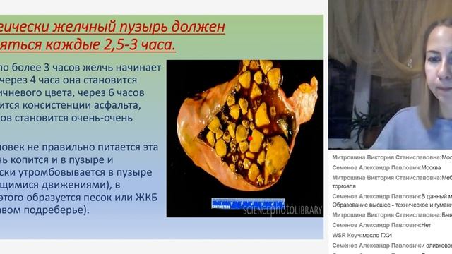 Анатомия и физиология пищеварительной и эндокринной систем