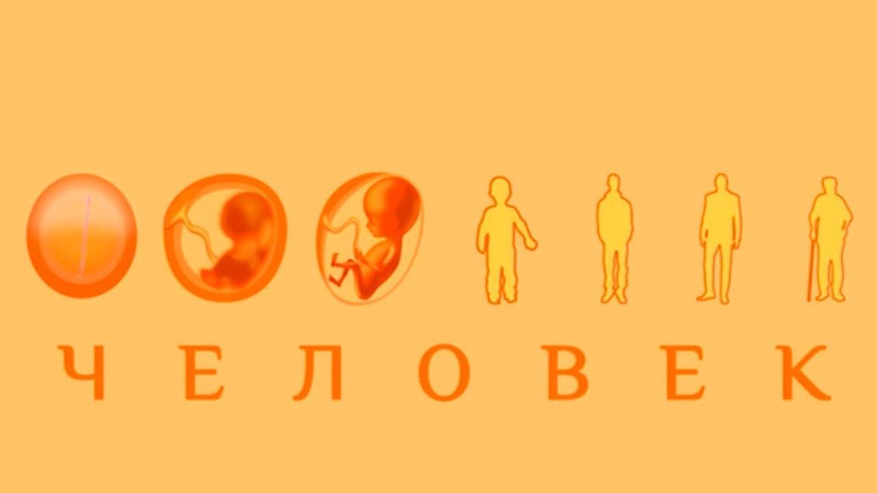 Биологическая экспедиция