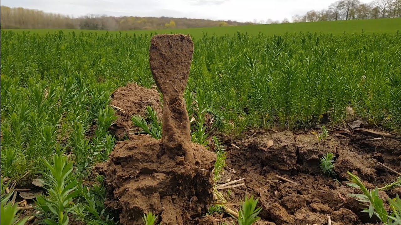 ДРЕВНИЕ ОРУДИЯ ТРУДА ⚒И МОНЕТКИ💰