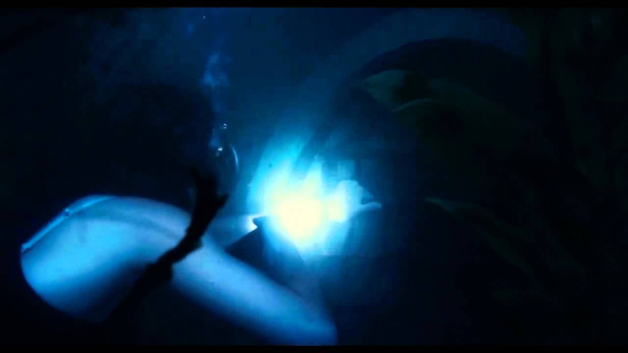 5e909555c339d45a31c40d94259e2716