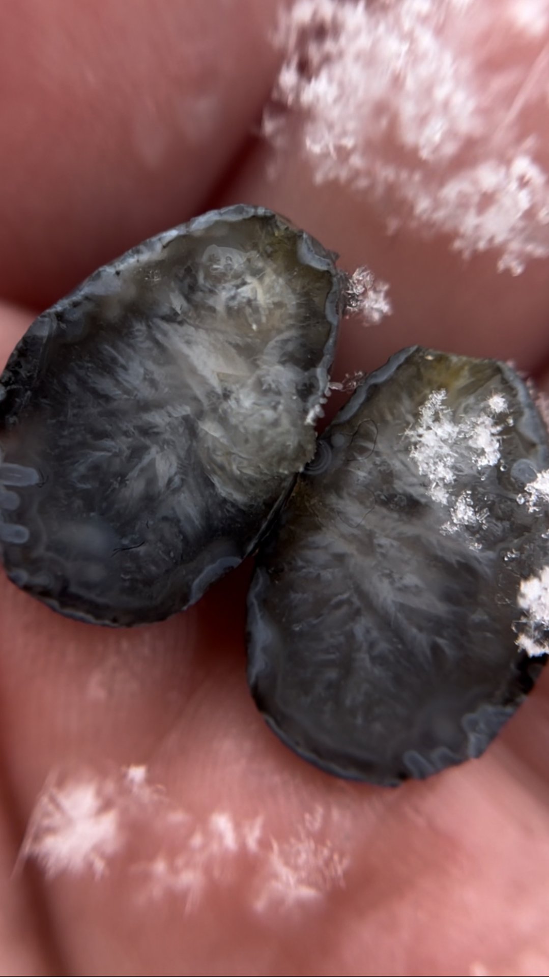 F072c78bd68eaa1acb44e6d547891bdb