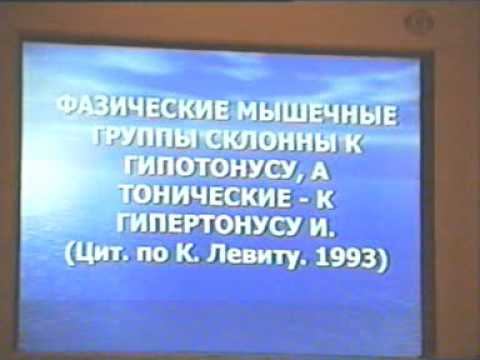 Нейрофизиологические основы мануальной медицины Part  2