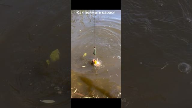 7abc601eabb2330fe76cc9bd0f2a1d4e