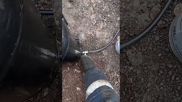 Тайные мудрецы