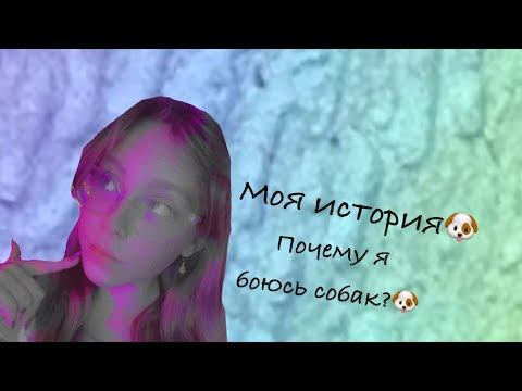 Почему я боюсь собак? || моя история || Поли стар бум💟