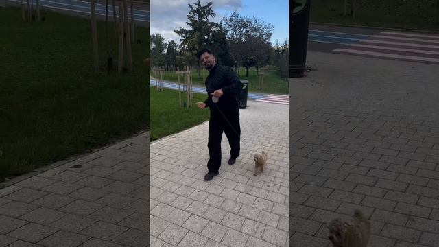 Все на канал Дом Батлов BIGO LIVE #bigolive #bigovlog #spanda #домбатлов