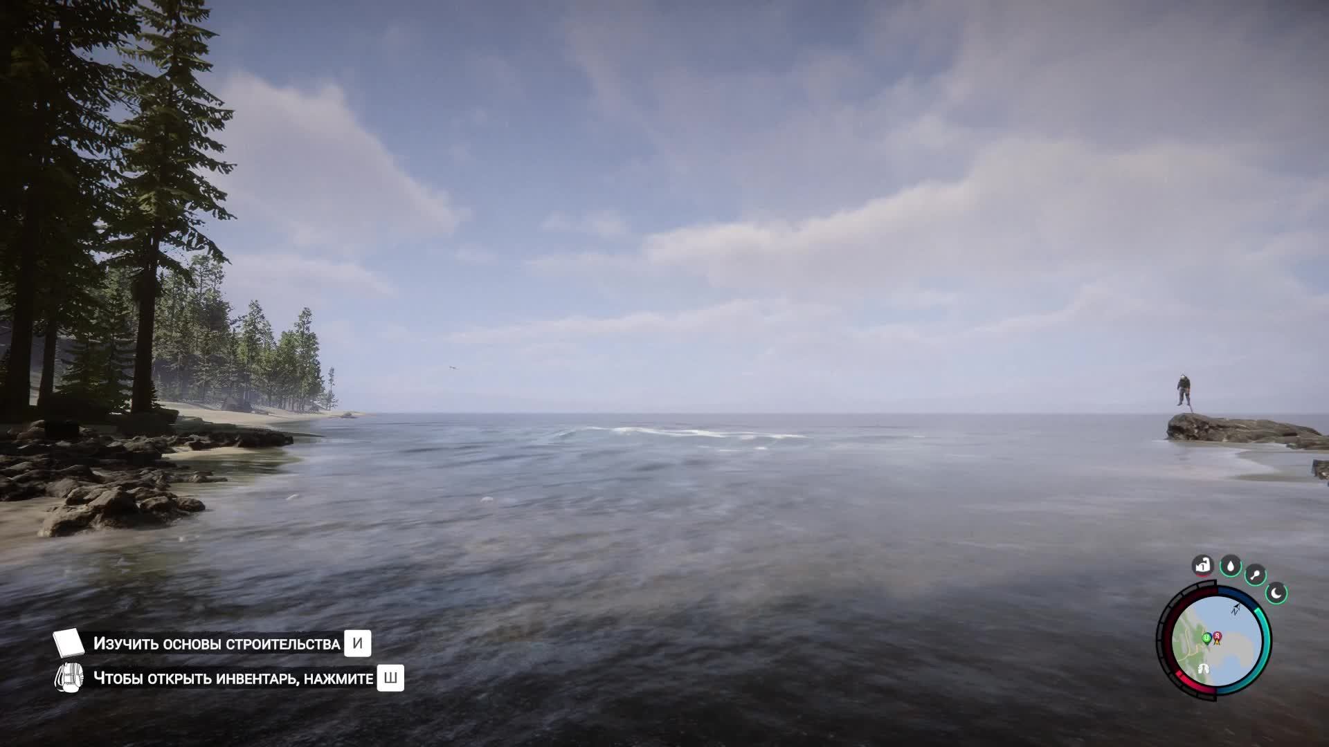 Sons Of The Forest СТРИМ  Coop